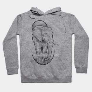 Elephant Family Hoodie